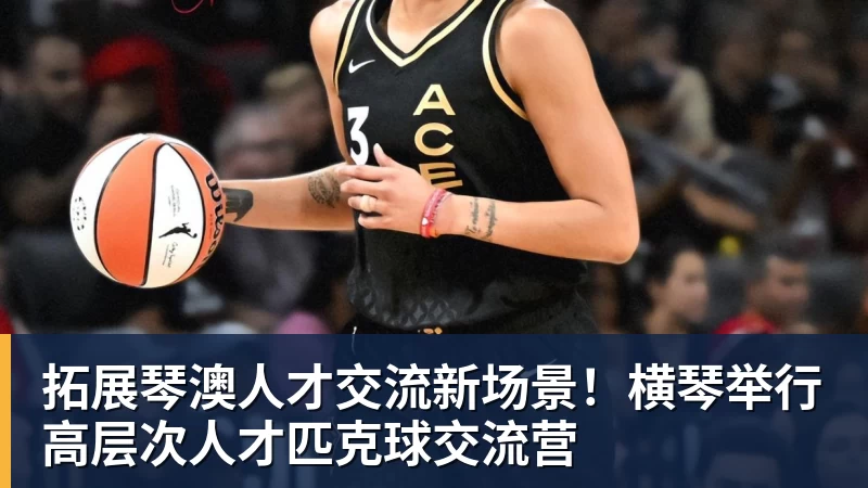 拓展琴澳人才交流新场景!横琴举行高层次人才匹克球交流营